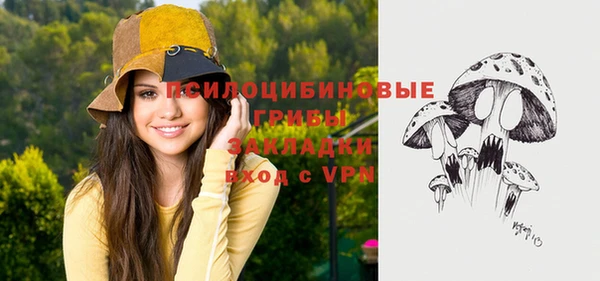 эйфоретик Алзамай