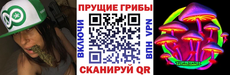 Галлюциногенные грибы Psilocybe Вологда