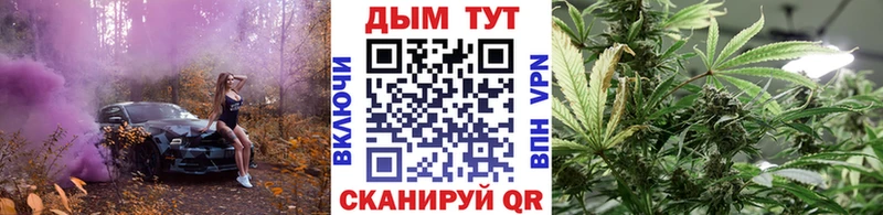 Шишки марихуана ГИДРОПОН Купить закладки Вологда